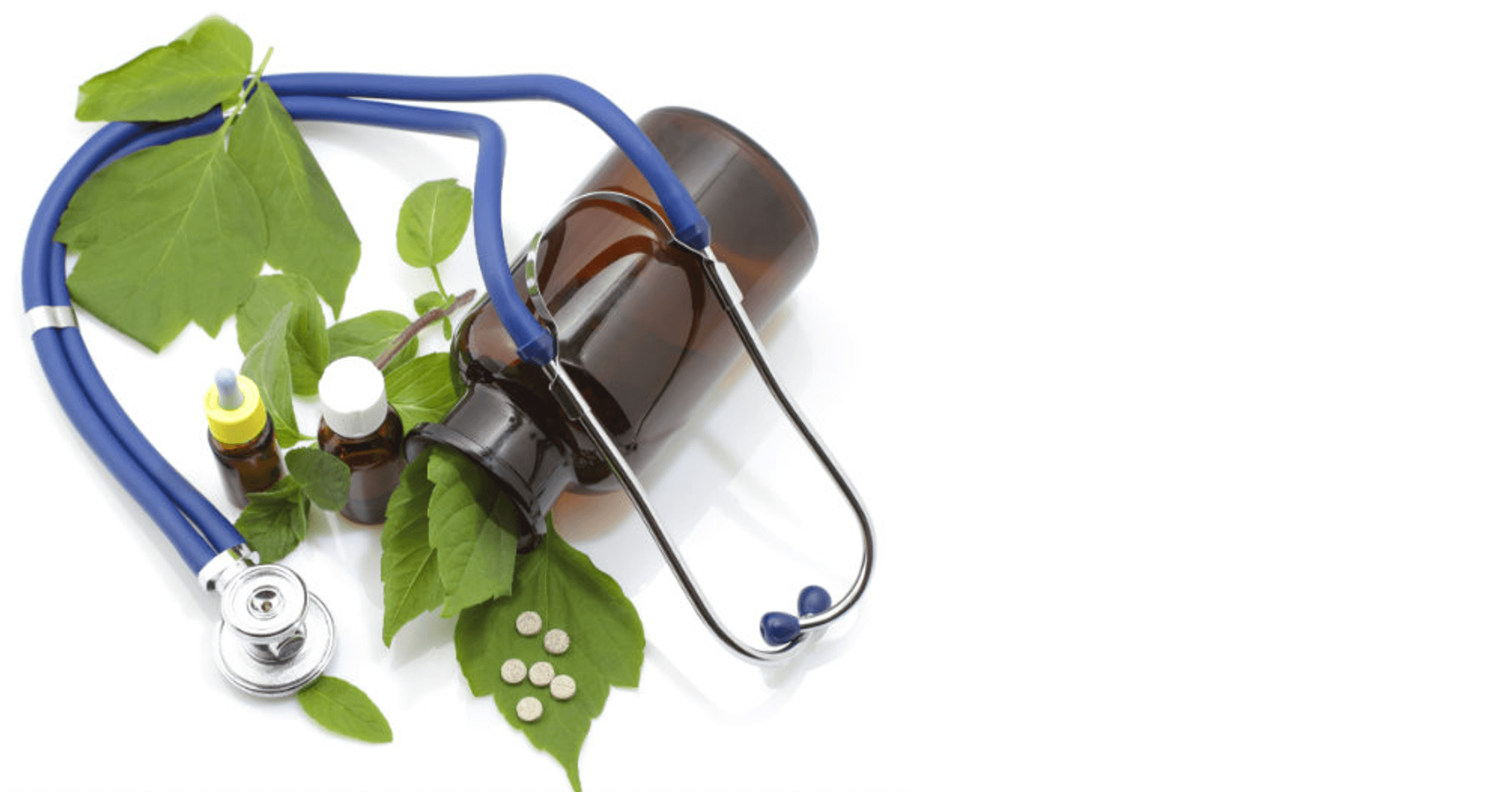 Herbs for Organ Health (Part II)